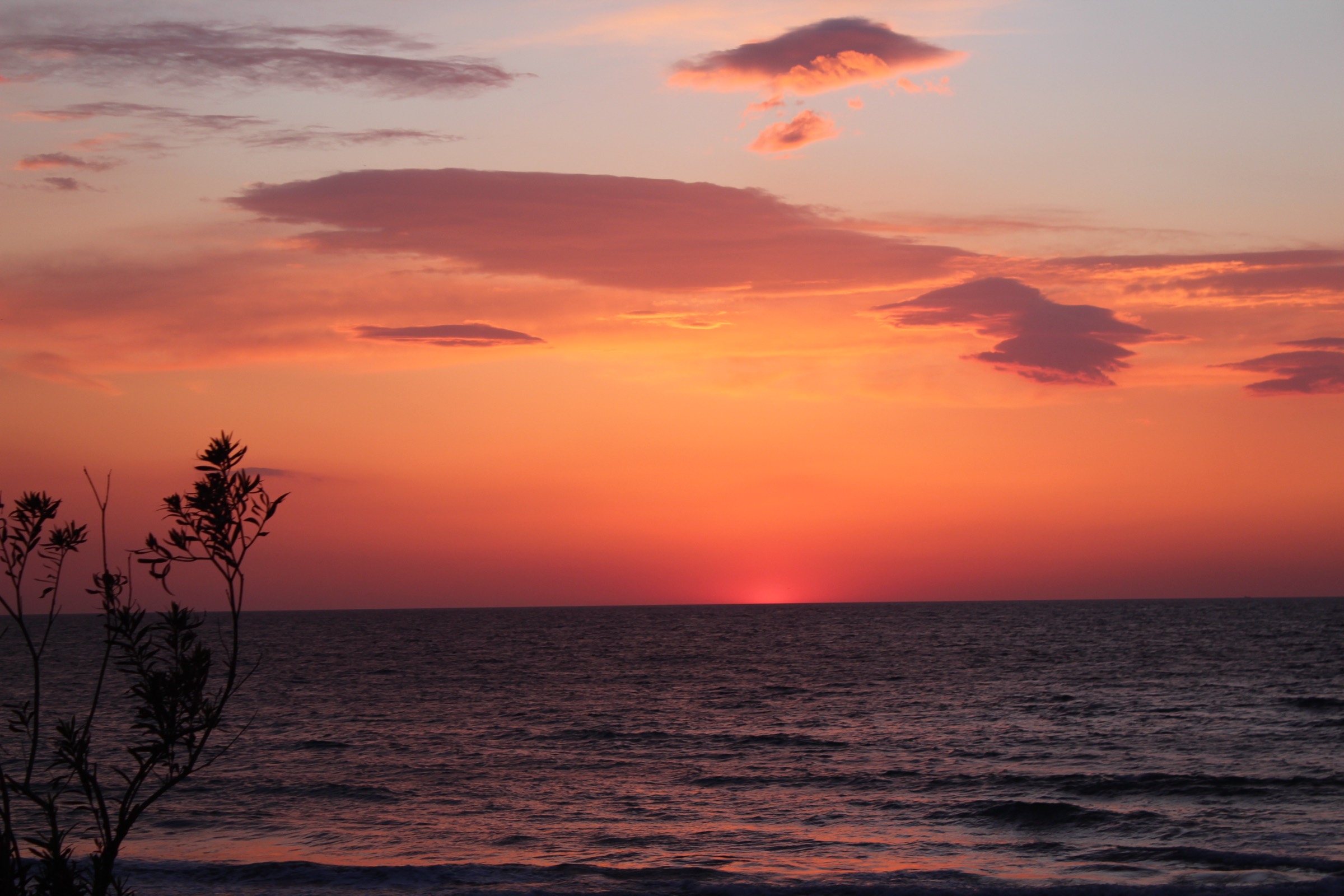Cimino Restaurant Cafe & Bar Kuşadası İtalyan pizza ve Türk mutfağı deniz kenarında